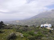 Sakturia Kreta, Sacturia Baugrundstück 2.367m² zu verkaufen  Grundstück kaufen